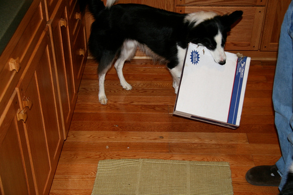 Forget the Mailman, I want the mail