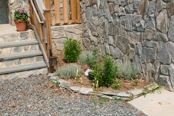 Right Side of Steps - before