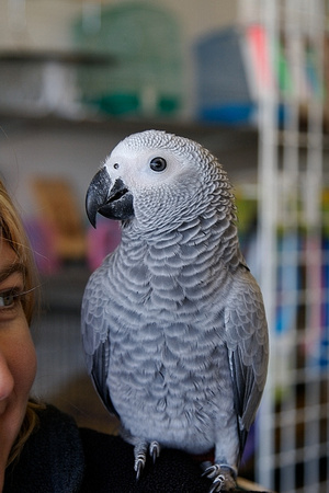 Libbie - 2nd visit at the shop